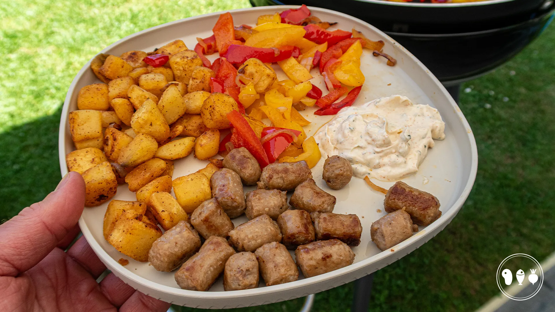De-beste-tips-om-een-skottel-te-gebruiken